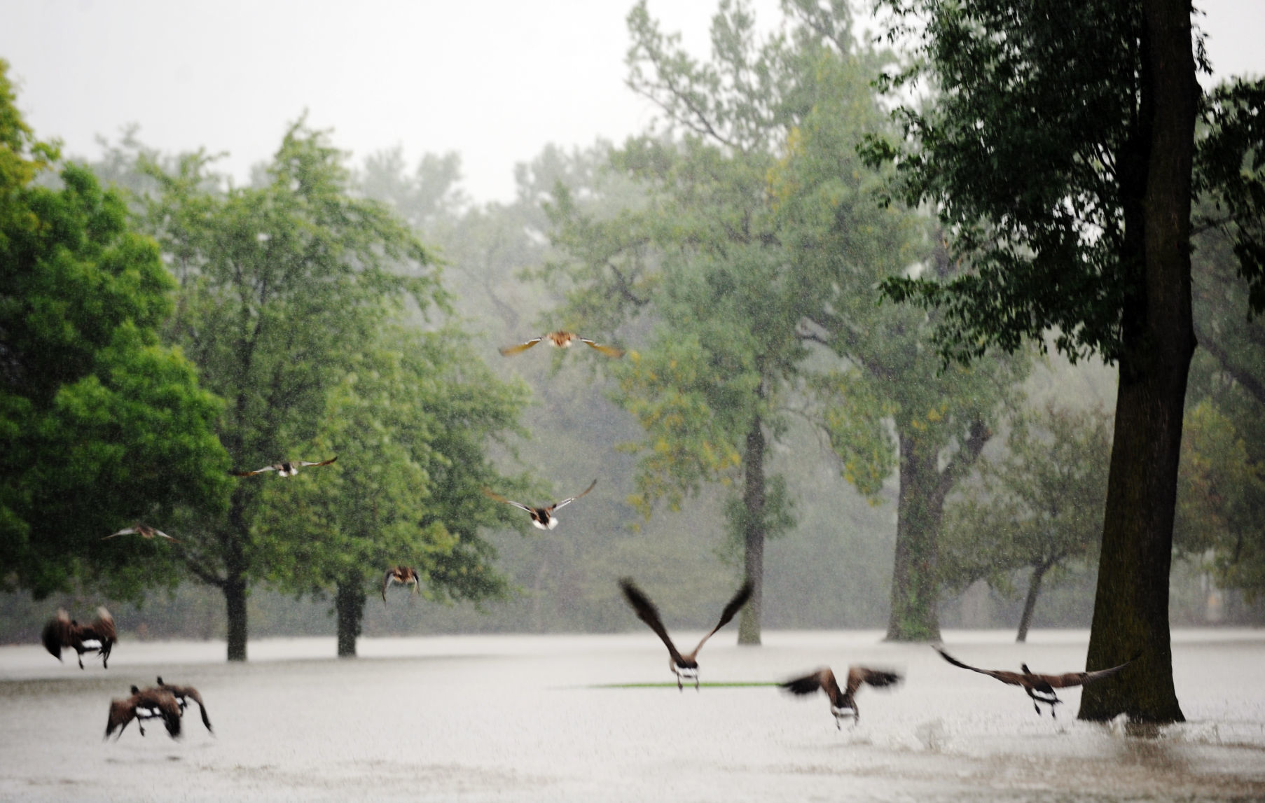 Flood 2008